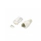 Equip 121175 conector RJ-45 Transparente, Blanco